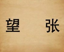 成语玩命猜望张答案是什么？