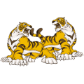 疯狂猜成语两只老虎答案是什么？