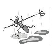 看图猜成语一只蚂蚁扛着树枝在雨中跑答案是?