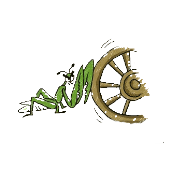 看图猜成语一只螳螂用臂挡住车轮答案是什么?