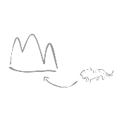 看图猜成语第385关一只老虎走入山里答案是什么?