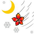 疯狂猜成语第582关月亮雪花朵风答案是什么？