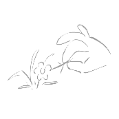 看图猜成语一只手在摘花草的答案是什么?