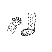 看图猜成语手脚上很多毛的答案是什么?