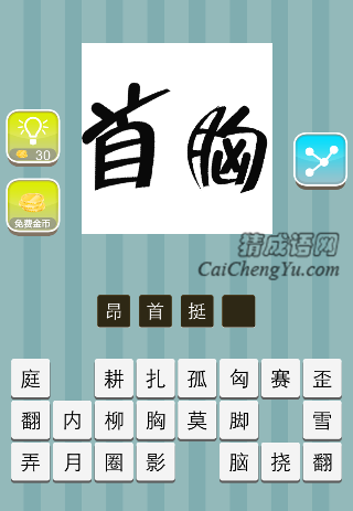 首字和胸字是什么成语