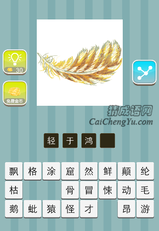 一个羽毛是什么成语