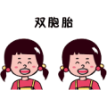 一对双胞胎是什么成语
