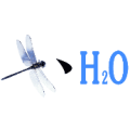 蜻蜓 一点 H20是什么成语
