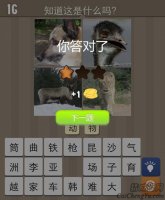 看图猜成语天天猜图狗狮子的答案