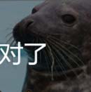 看图猜成语猫海豹老虎嘴部听玩家讲解经验