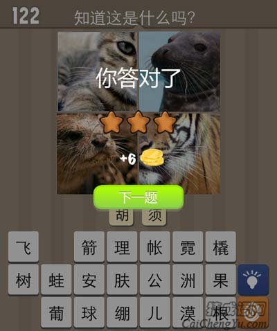 看图猜成语猫海豹老虎嘴部听玩家讲解经验