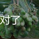 看图猜成语腰果腰果酒解开谜底就戳一下
