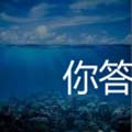 看图猜成语大海女人天空鹦鹉玩家猜法经验分享