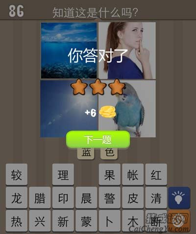 看图猜成语大海女人天空鹦鹉玩家猜法经验分享