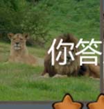 看图猜成语狮子沙漠黑人汽车与长颈鹿全解
