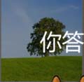 看图猜成语树木头木板树木答案猜法心得分享