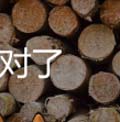 看图猜成语树木头木板树木答案猜法心得分享