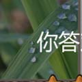 看图猜成语日出露珠闹钟玩家猜法心得分享