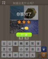 看图猜成语石头遗迹化石答案猜法心得分享