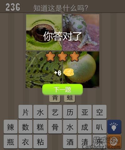 青蛙是益虫在生活中我们应该保护它