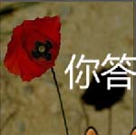 看图猜成语太阳照在物体表面上形成阴影