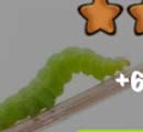 蜜蜂蚱蜢毛虫各种各样的昆虫参加选美大赛