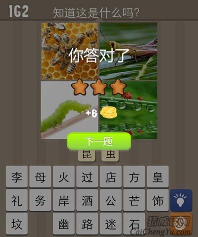 蜜蜂蚱蜢毛虫各种各样的昆虫参加选美大赛