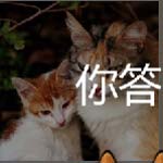 看图猜成语感受女性的伟大体验神圣的母爱
