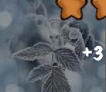 看图猜成语晴朗闪电下雪下雨不同季节不同气候