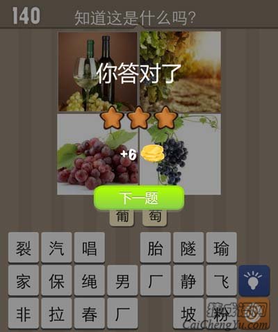 葡萄美酒夏日必备餐盘水果看图理解答案
