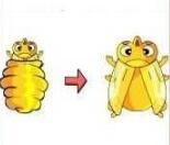 疯狂猜成语金色虫子的成语是什么答案