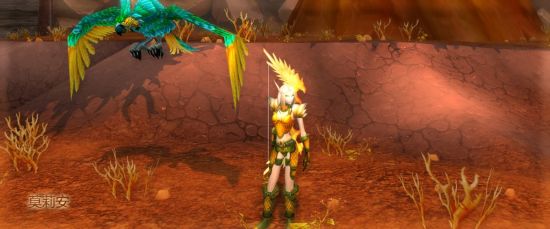 魔兽世界猎人_兽王盛宴！魔兽世界19猎人团英雄