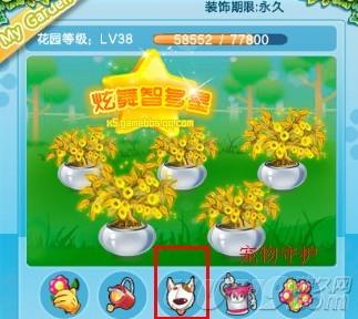 炫舞宠物_盘点2014年炫舞游戏内优化之宠物新玩法
