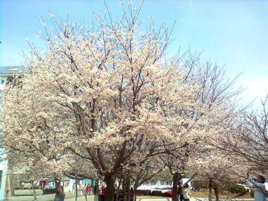 永恒之眼入口_青春散场毕业生眼里的高校美景