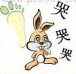 疯狂猜成语一只兔子在哭哭哭，旁边有一个脚丫答案是什么？