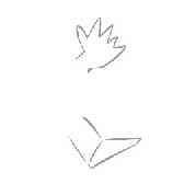 疯狂猜成语、看图猜成语第155关答案