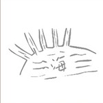 疯狂猜成语第14关_看图猜成语第14关答案