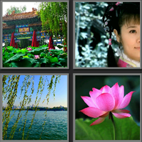 夏雨荷_看图拼字答案及图片