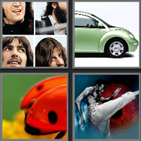 甲壳虫_看图拼字答案及图片