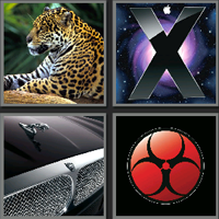 美洲豹_看图拼字答案及图片