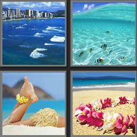 夏威夷_看图拼字答案及图片