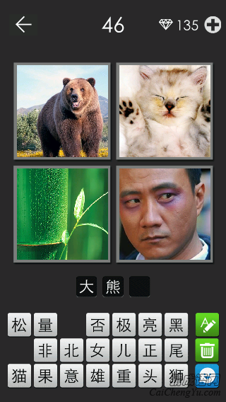 大熊猫_看图拼字答案及图片