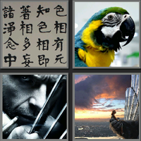 金刚_看图拼字答案及图片