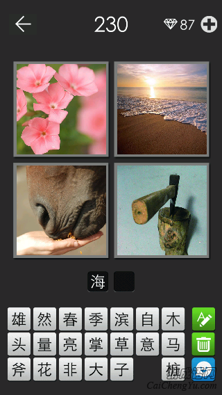 海子_看图拼字答案及图片
