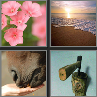 海子_看图拼字答案及图片