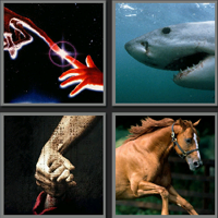 斯皮尔伯格_看图拼字答案及图片