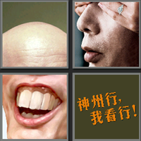 葛优_看图拼字答案及图片